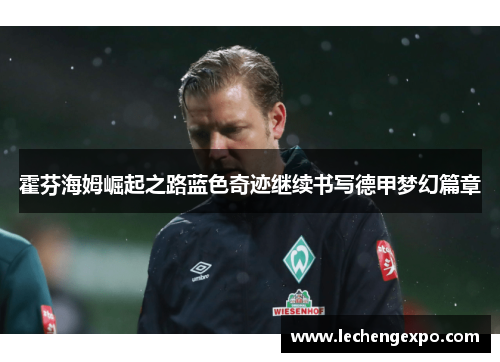 霍芬海姆崛起之路蓝色奇迹继续书写德甲梦幻篇章