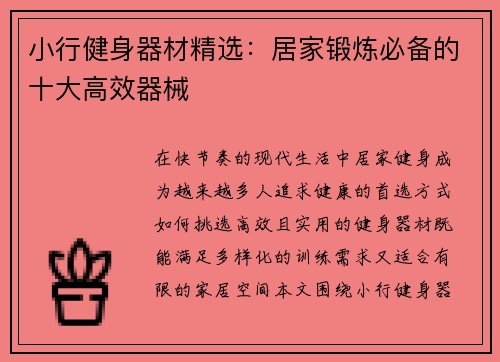 小行健身器材精选：居家锻炼必备的十大高效器械