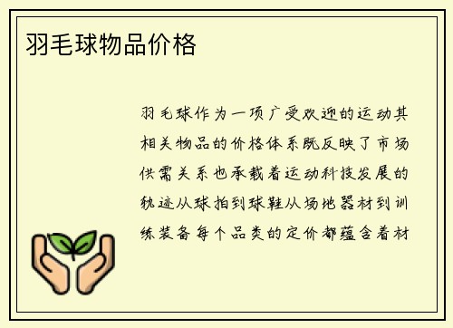 羽毛球物品价格